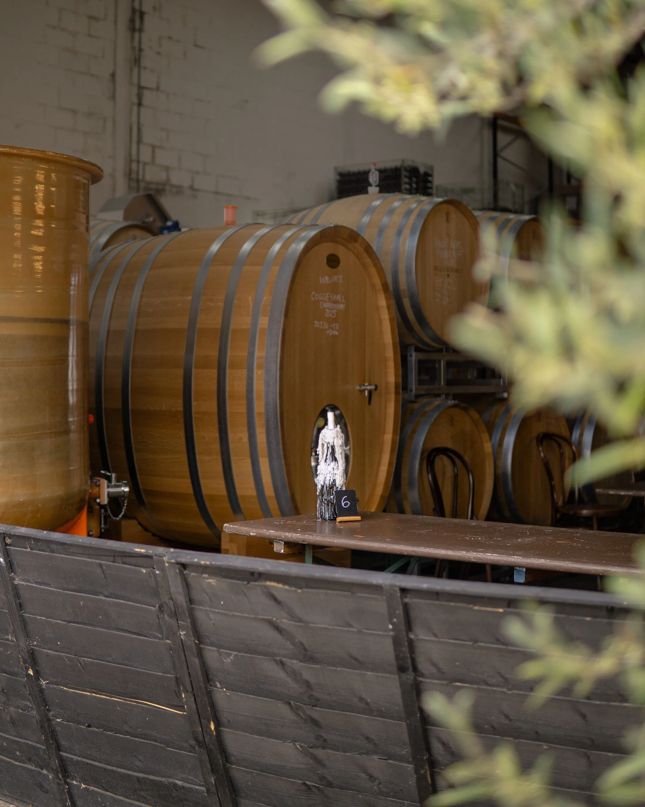 Wooden wine barrels stored in a warehouse with a gray brick wall in the background and some greenery in the foreground.