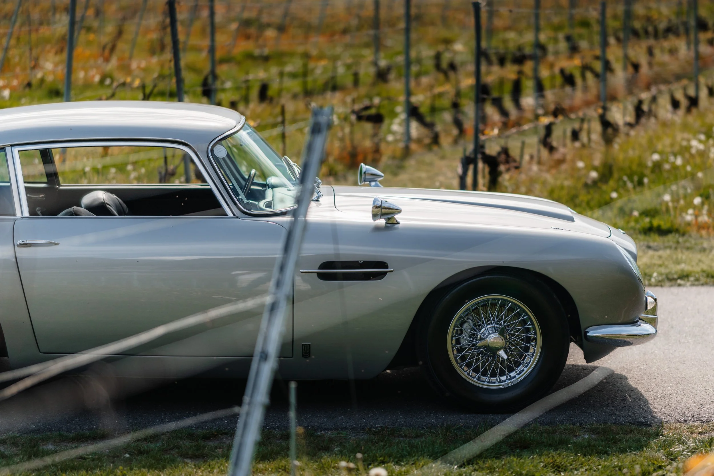 @GregoireTruchet-8921.jpg