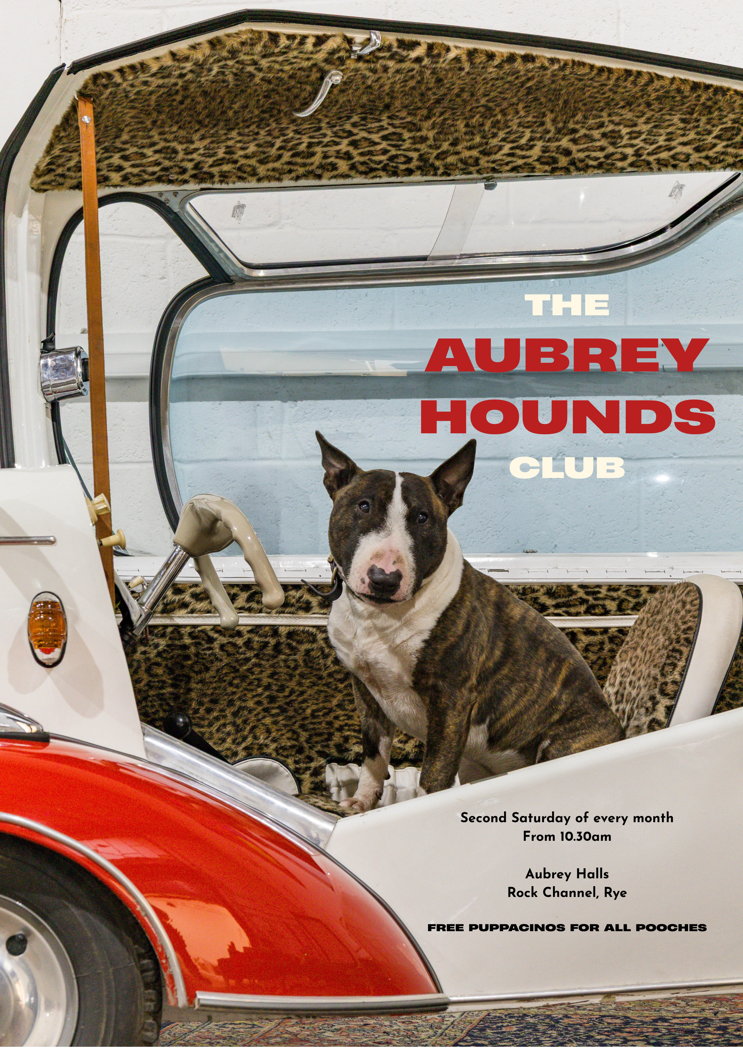 A black and white dog sitting inside a vintage white and red car with leopard print interior. There is a leopard print blanket on the upper part of the vehicle. The car appears to be in a showroom or exhibition space with a white brick wall background. The text on the image indicates a dog club event called Aubrey Hounds Club, taking place on the second Saturday of every month at 10:30 a.m., hosted by Aubrey Halls on Rock Channel, Rye, offering free puppacinos for all pooches.