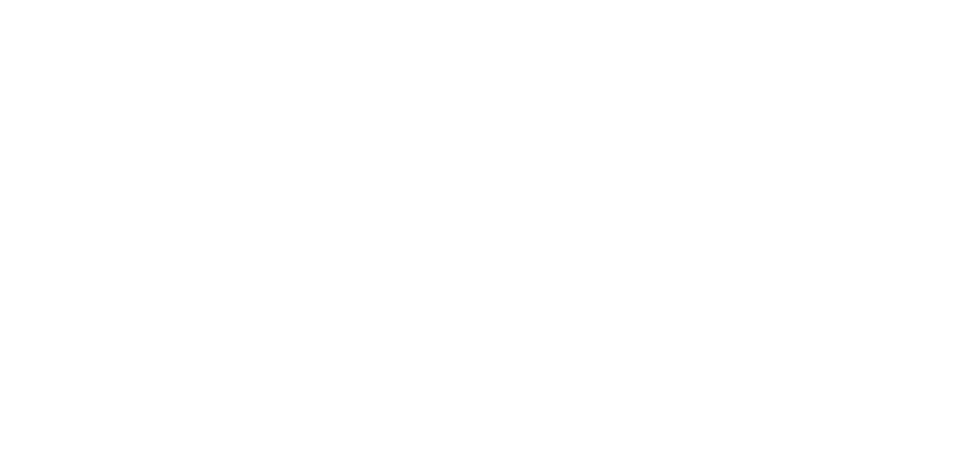Logo avec le texte 'CYNARA' et 'Bien-être & thérapie' en dessous, avec des lignes radiantes au-dessus.