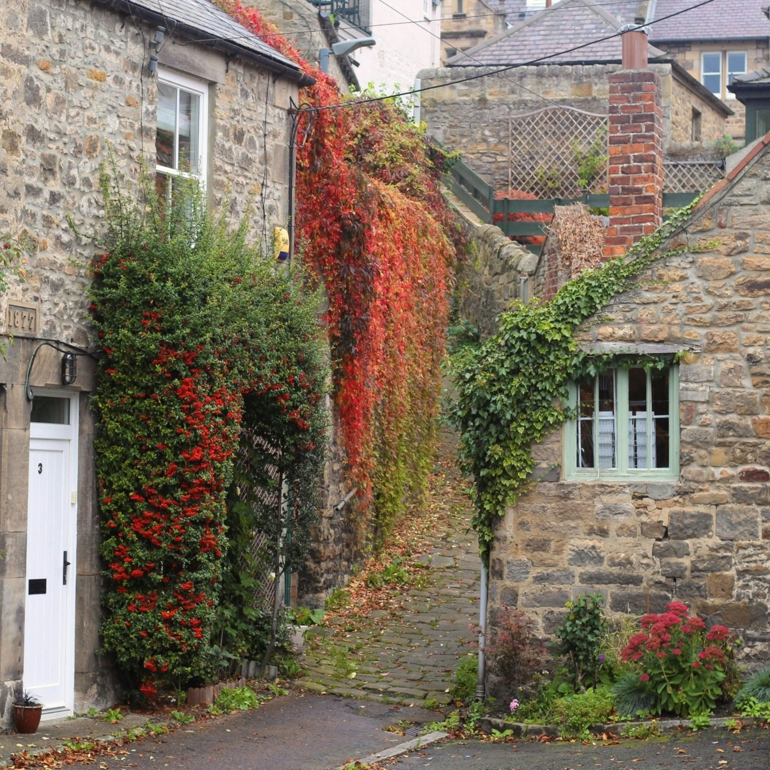 Quaint English village lane with stone cottages, cobbled steps, and autumn ivy, showcasing colourful foliage and traditional country architecture in a peaceful UK countryside setting.