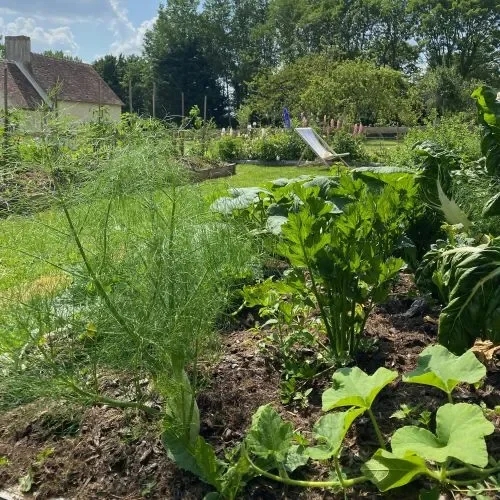 Le sol, à la racine de notre bien-être