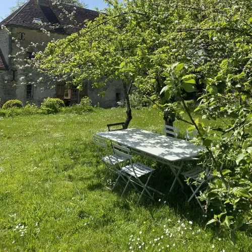 La nature : notre meilleure alliée santé ?