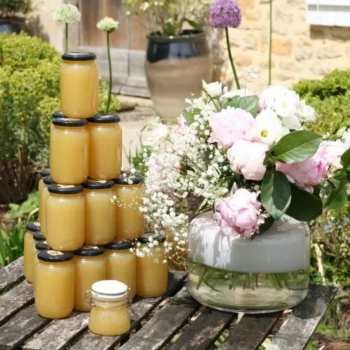 Les abeilles ont d’incroyables talents