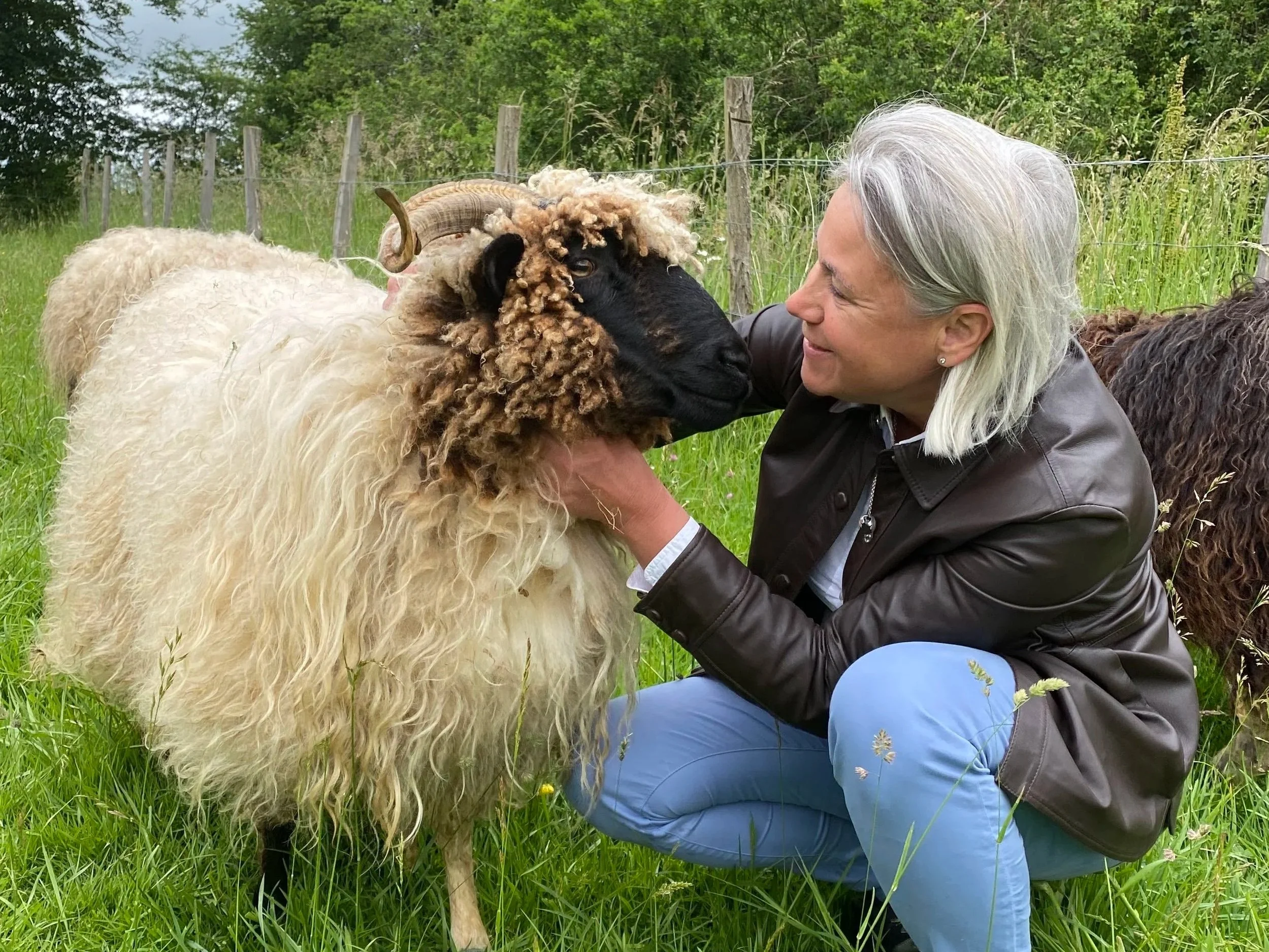 Le pouvoir du lien : quand l’animal nous ancre dans le présent