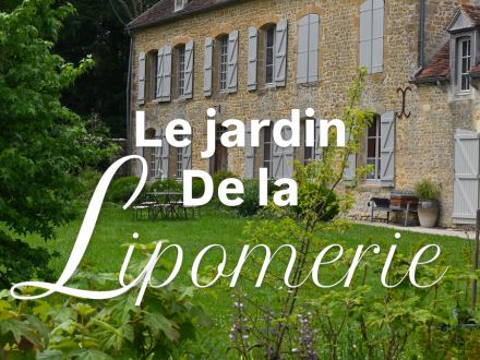 Photos Articles pour site (4).png