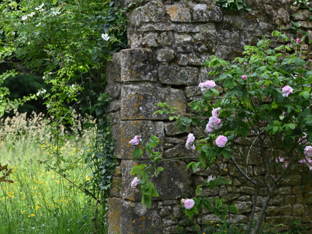 Photos Articles pour site (8).png