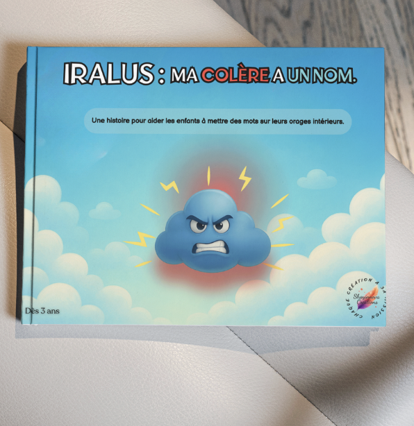 Capture d’écran 2025-12-02 à 15.30.06.png