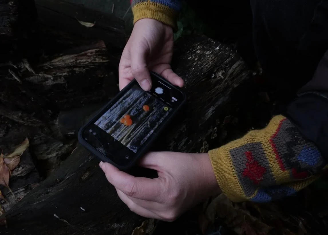 We spent a day in the woods with @lucyfjones author of Matrescence - her acclaimed and incendiary exploration of the transformative transition of motherhood. 

As we searched for slime molds, we talked about matroreform, the pressures of caregiving w