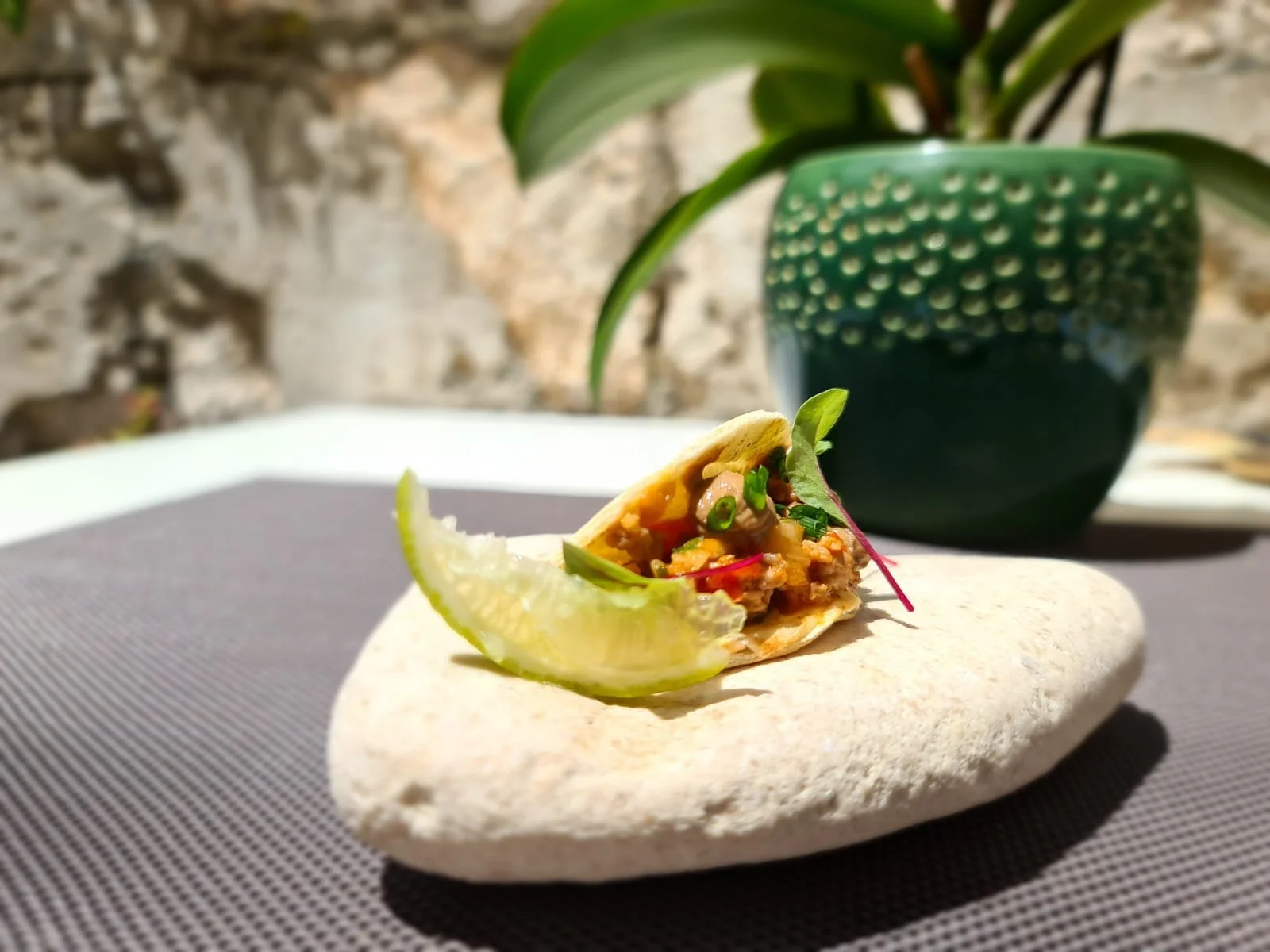 A small taco with meat, vegetables, and herbs, garnished with a lime wedge, placed on a light-colored stone. In the background, there is a decorative green plant in a textured green pot, with a stone wall behind.