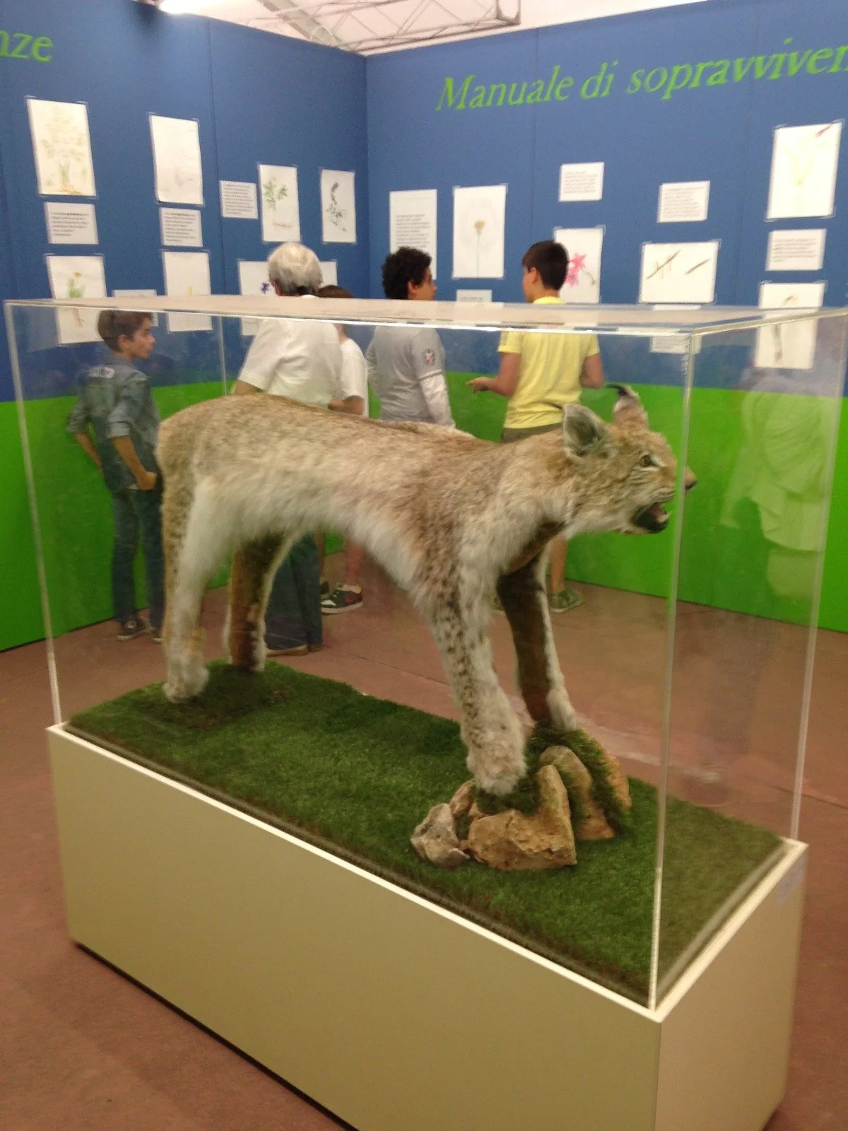 WhatsApp Image 2025-07-25 at 15.17.57.jpeg