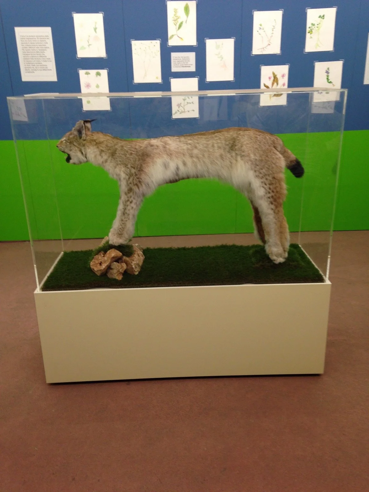 WhatsApp Image 2025-07-25 at 15.18.08.jpeg