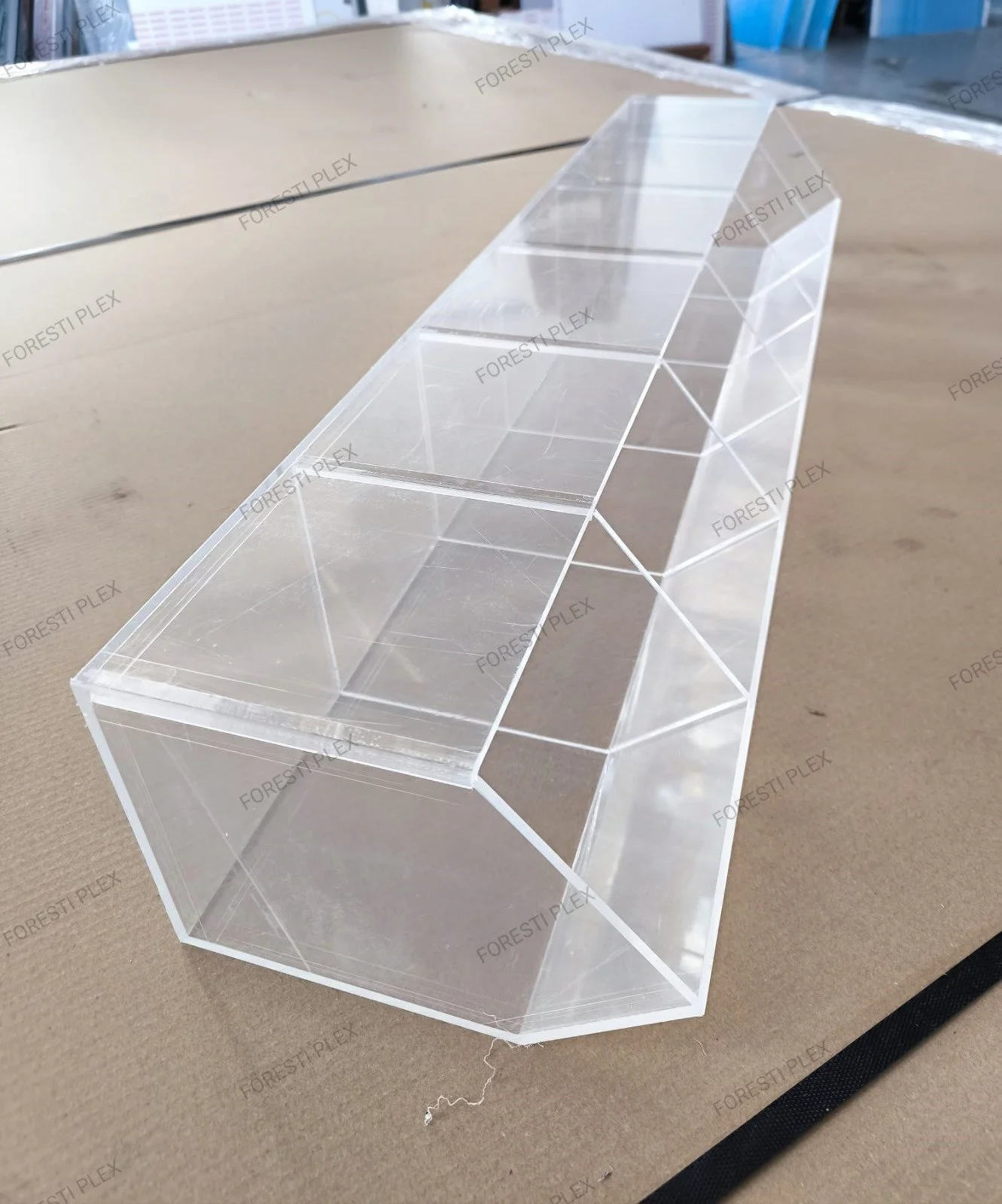 WhatsApp Image 2025-07-25 at 15.39.37.jpeg