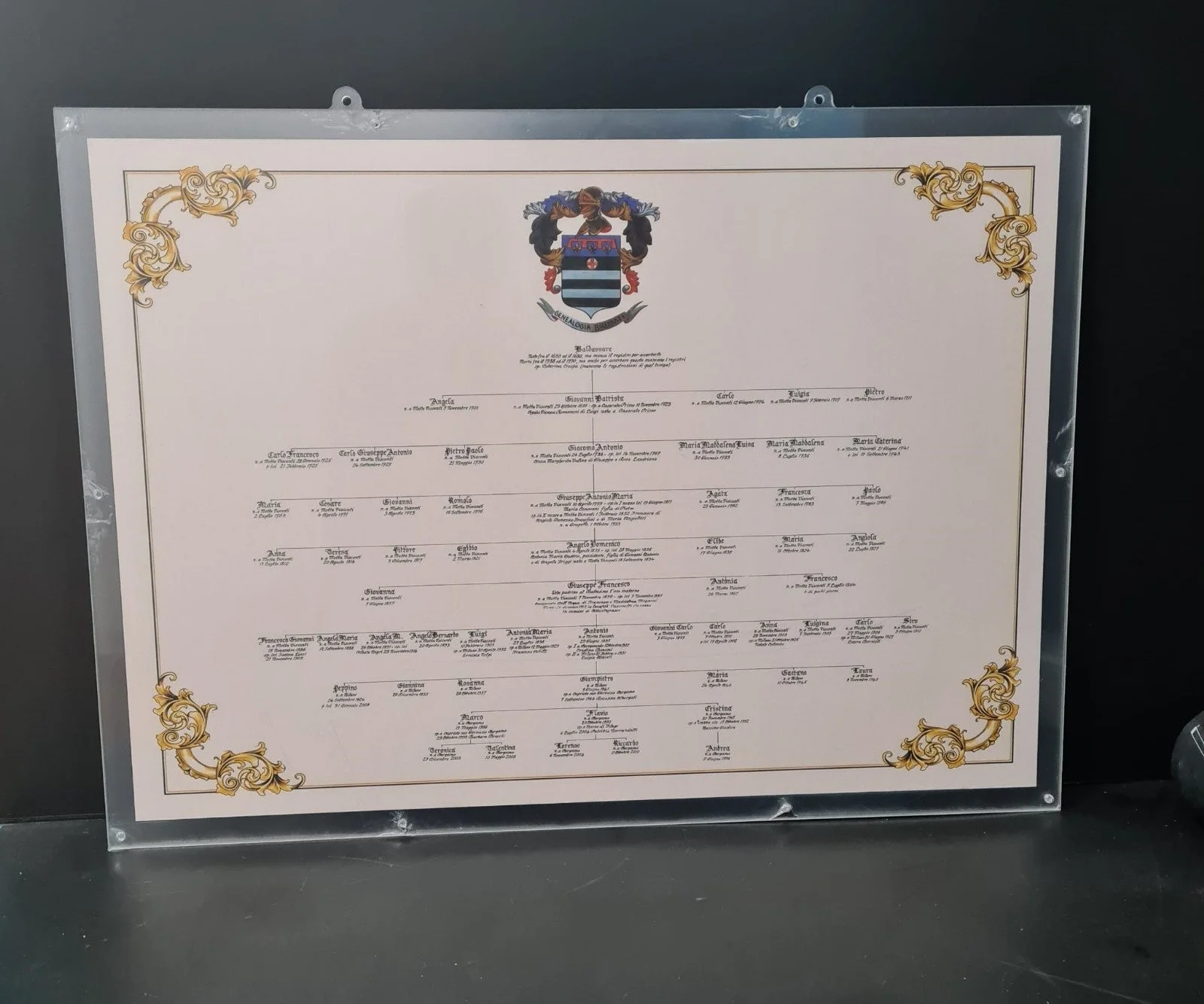 WhatsApp Image 2025-07-25 at 15.48.27.jpeg