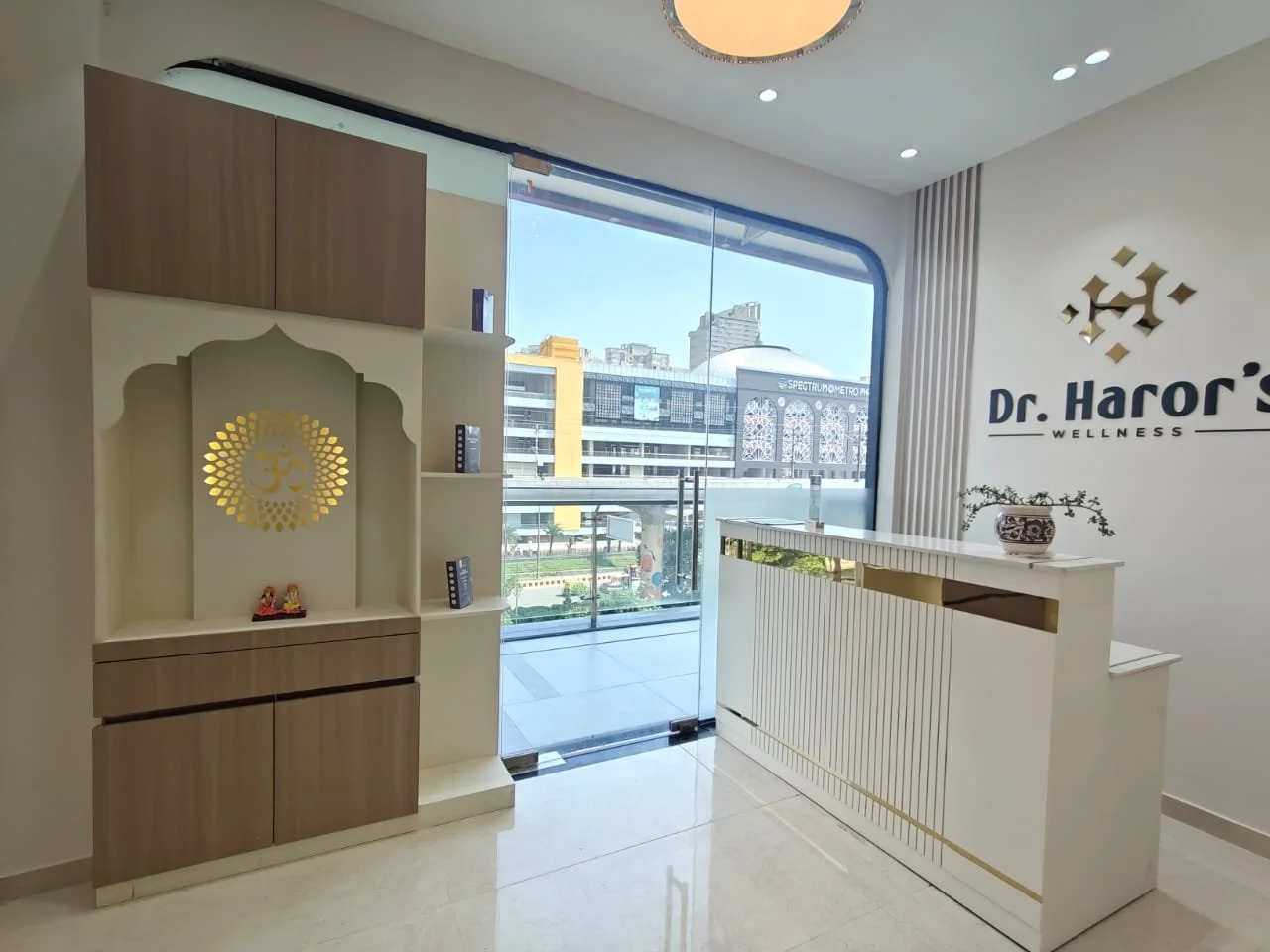 An image of Dr. Haror's Wellness Noida