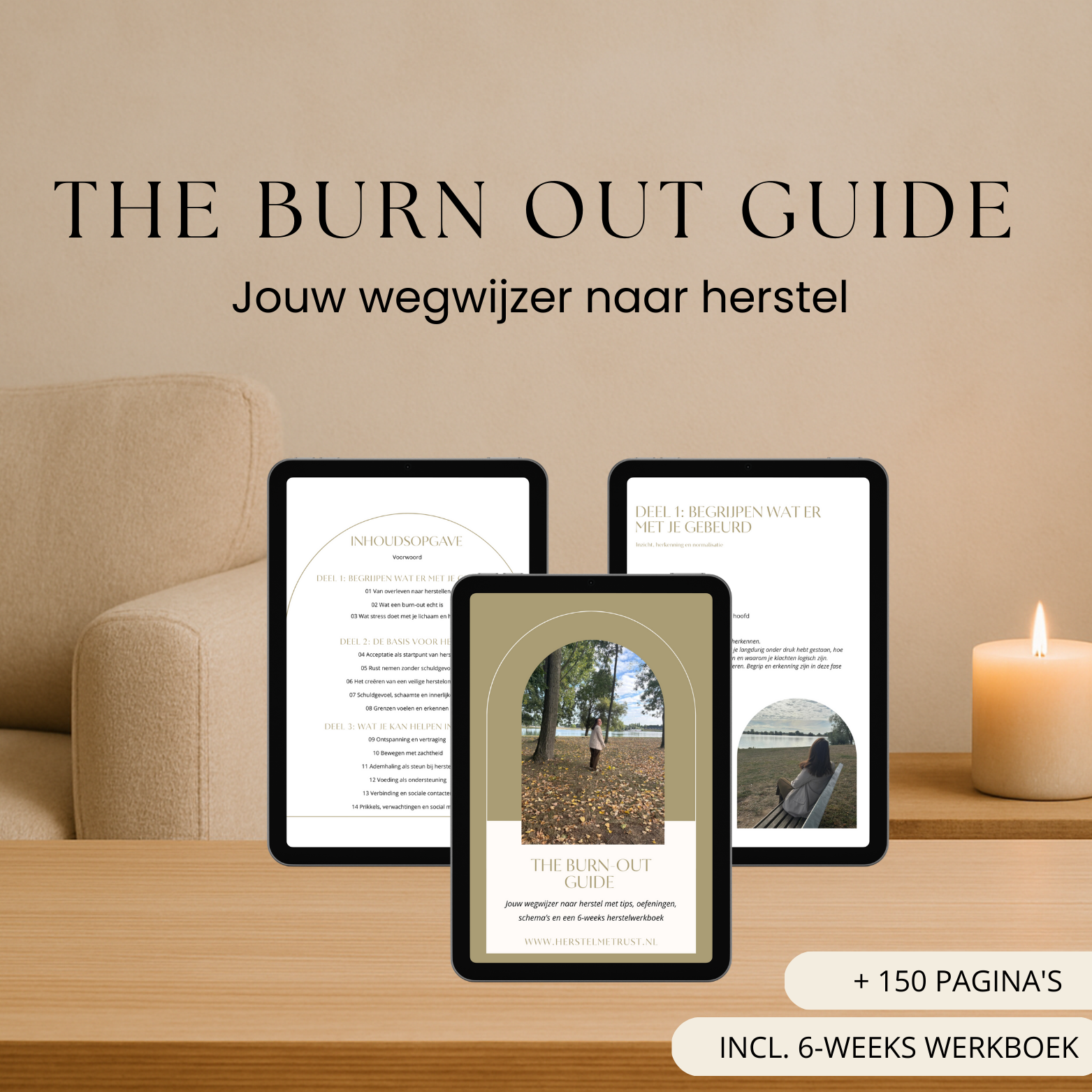 The Burn-out Guide - Jouw complete gids voor burn-out herstel, stressvermindering en zelfzorg
