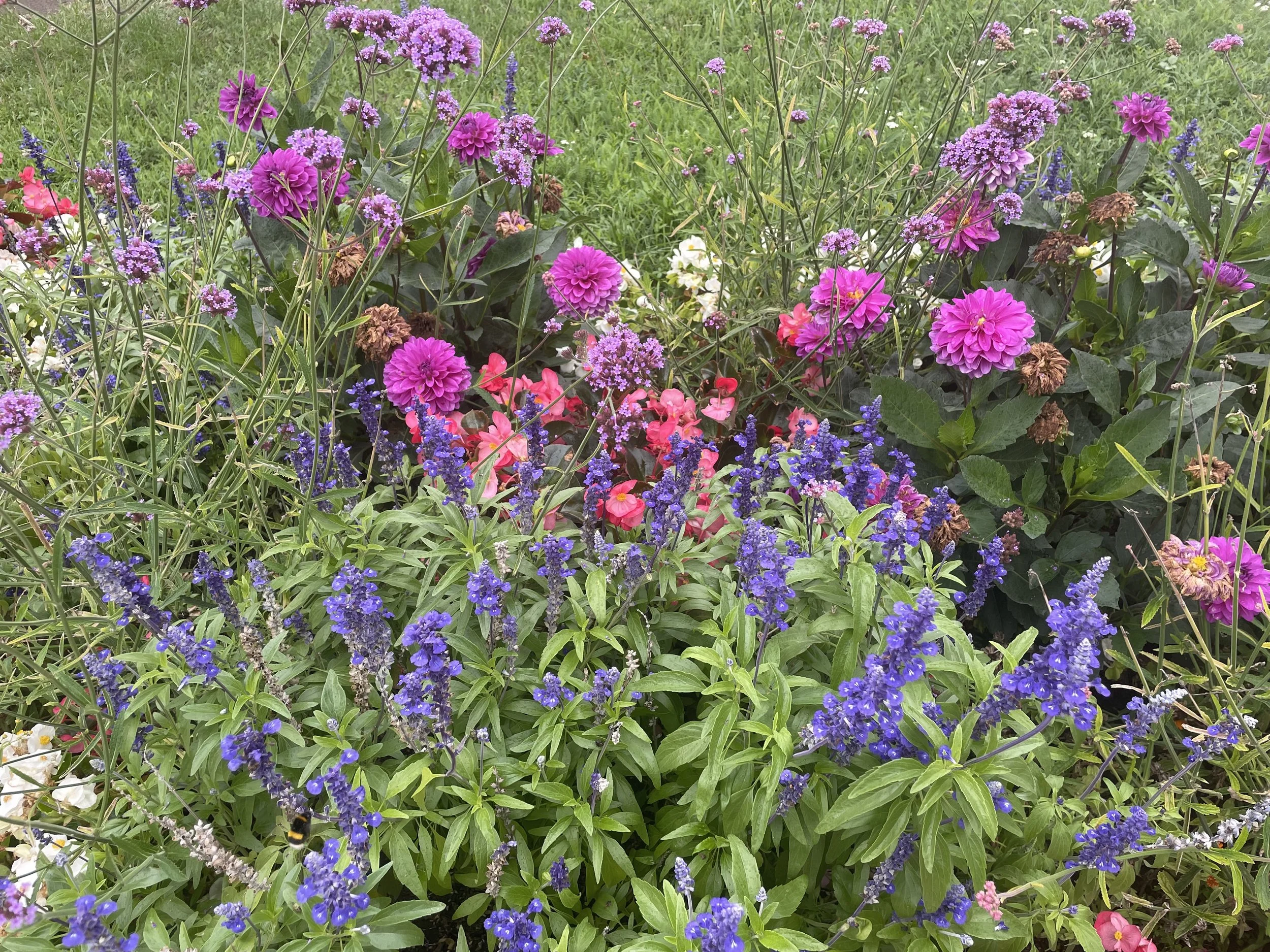 Photo 2025. 09. 10., 10 30 45.jpg