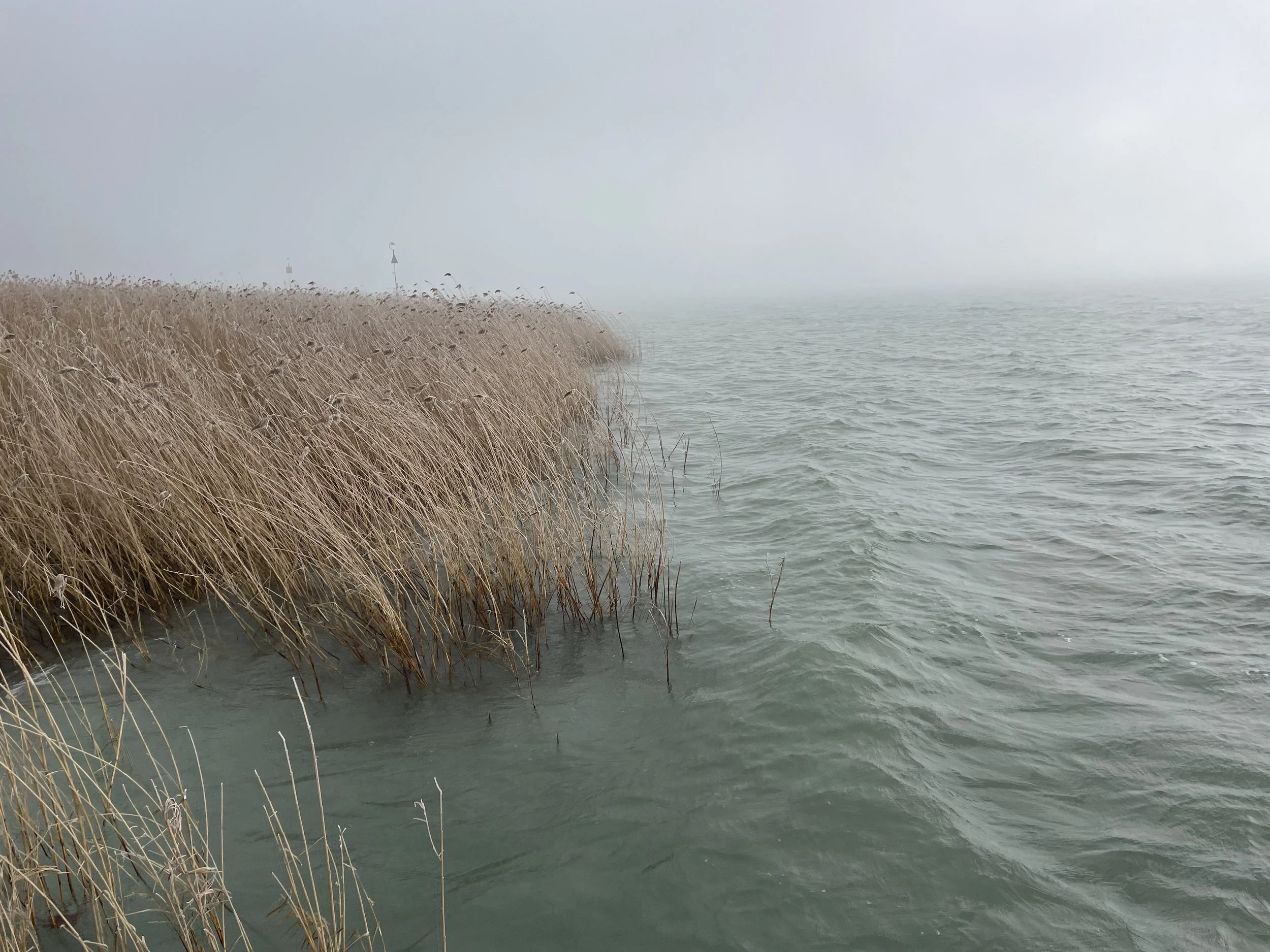 windy balaton