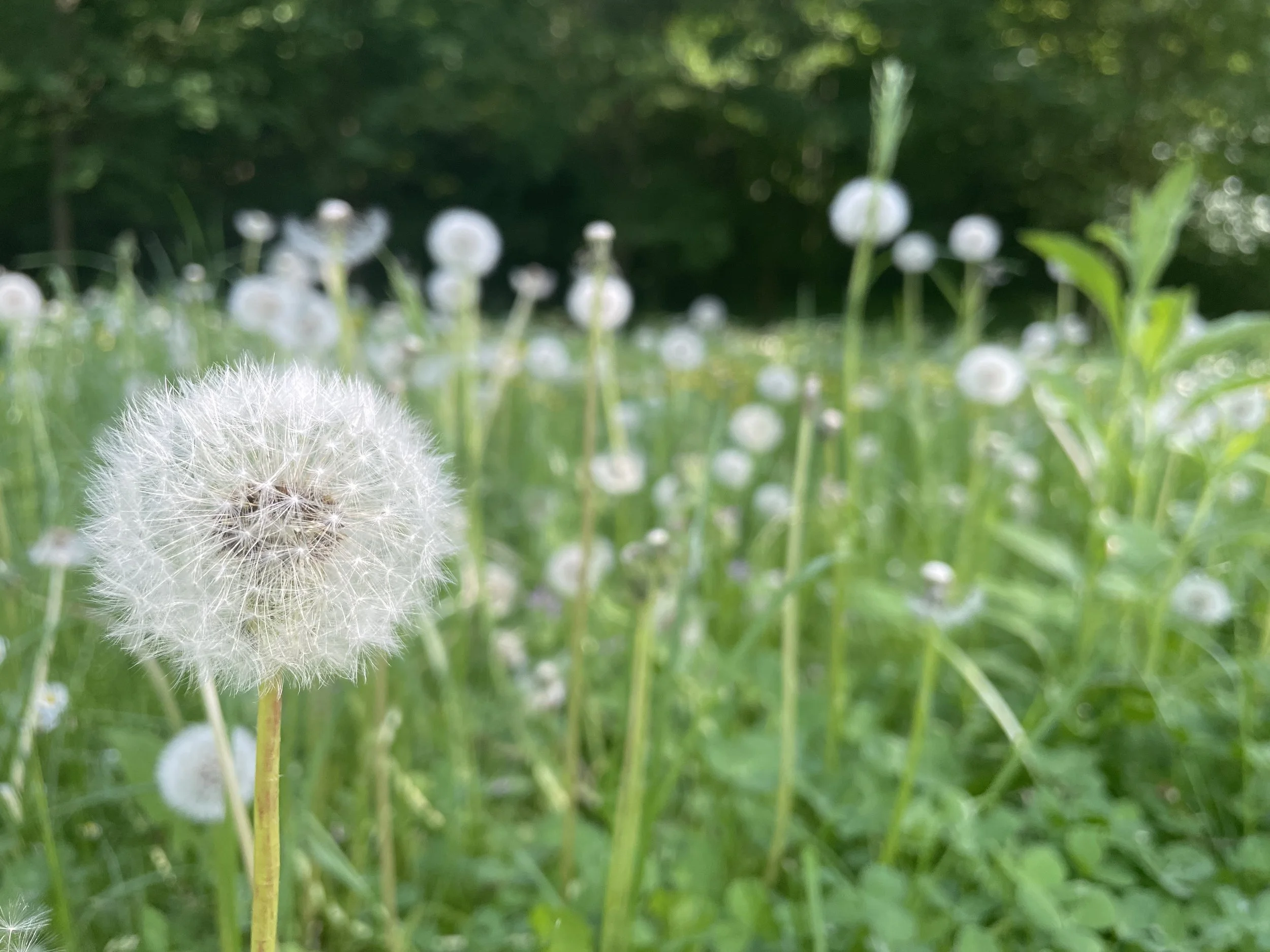 Photo 2025. 05. 10., 17 30 17.jpg