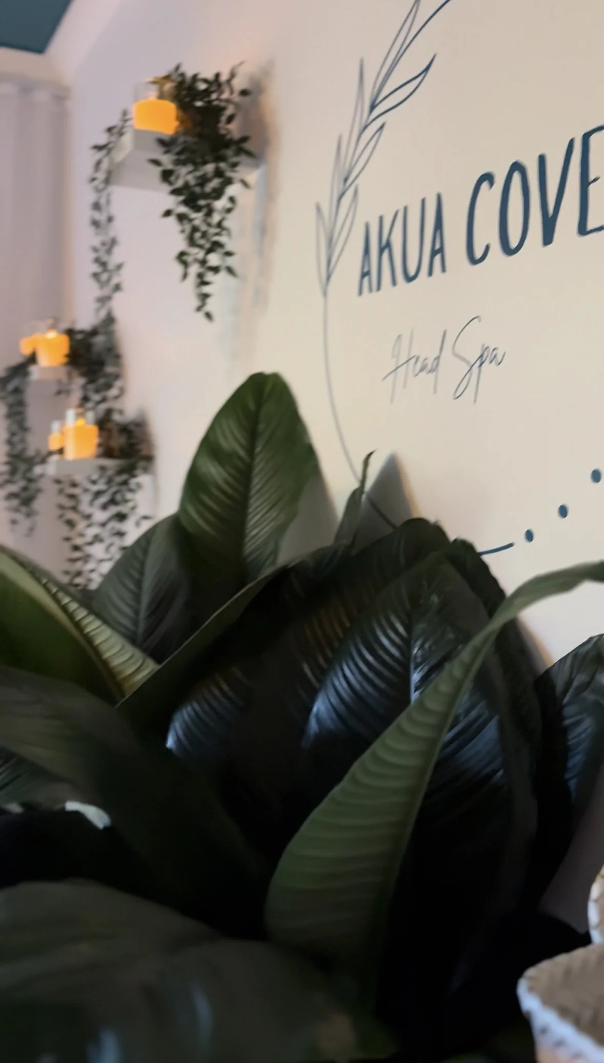 Indoor scene with large green leafy plant in the foreground. In the background, a white wall with a hand-drawn mural reading "Akua Cove Hand Spa" and a stylized leaf. Two white wall-mounted shelves decorated with greenery and yellow candles.