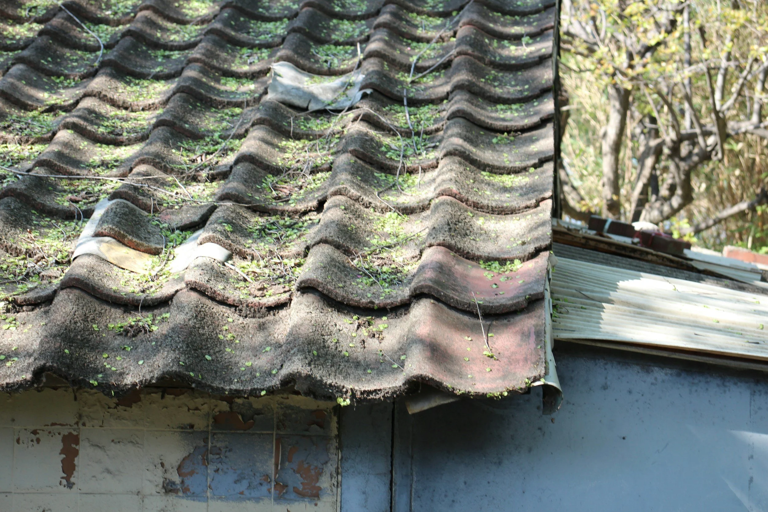 Why Roofs Start Leaking in March: The Freeze–Thaw Trap Above Your Ceiling