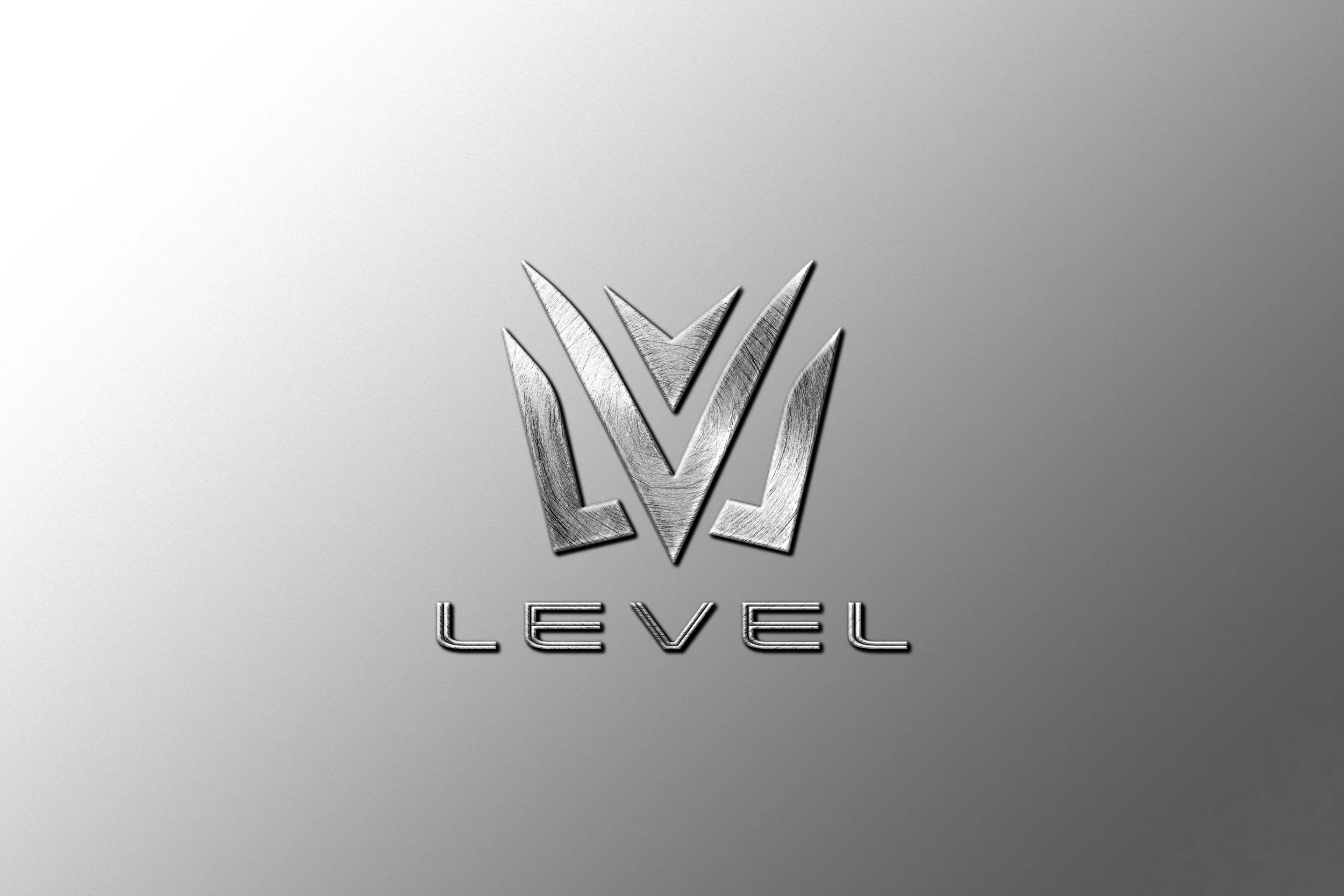 LEVEL (Branding& Logo design)