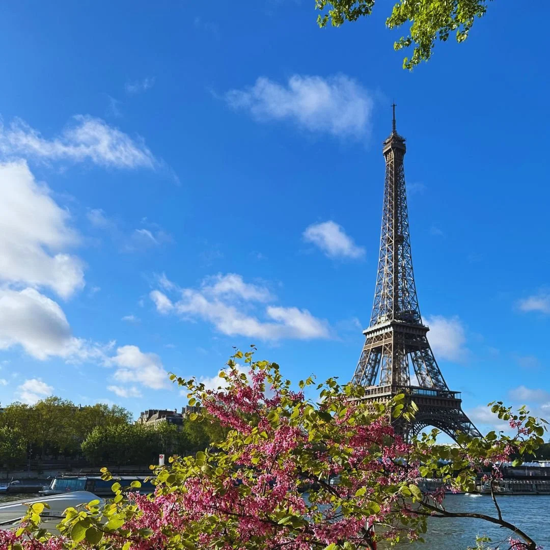 What Eiffel Tower Visitors Loved, And What They Want You To Know