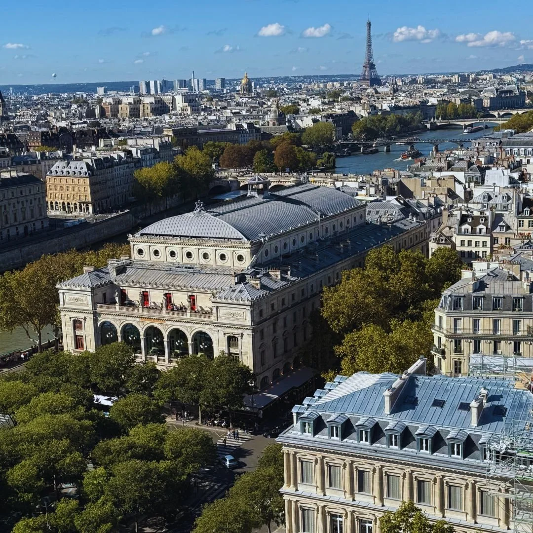 Paris view from Saint Jacques Tower: rooftops, the river Seine, the Pantheon and Eiffel Tower