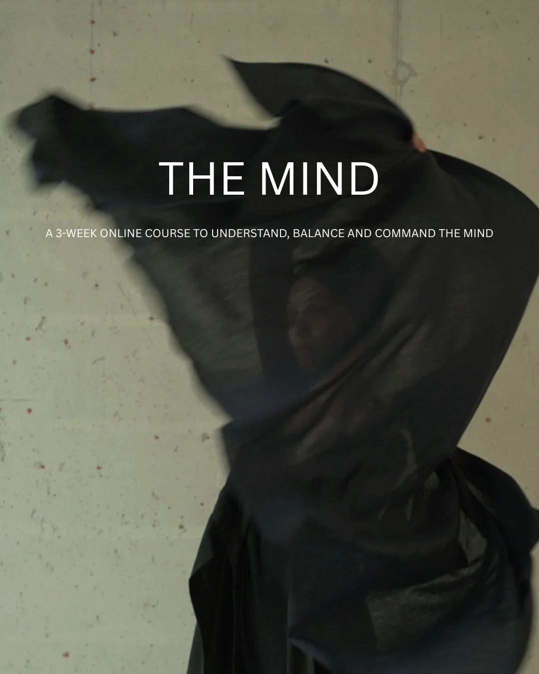 THE MIND 2026