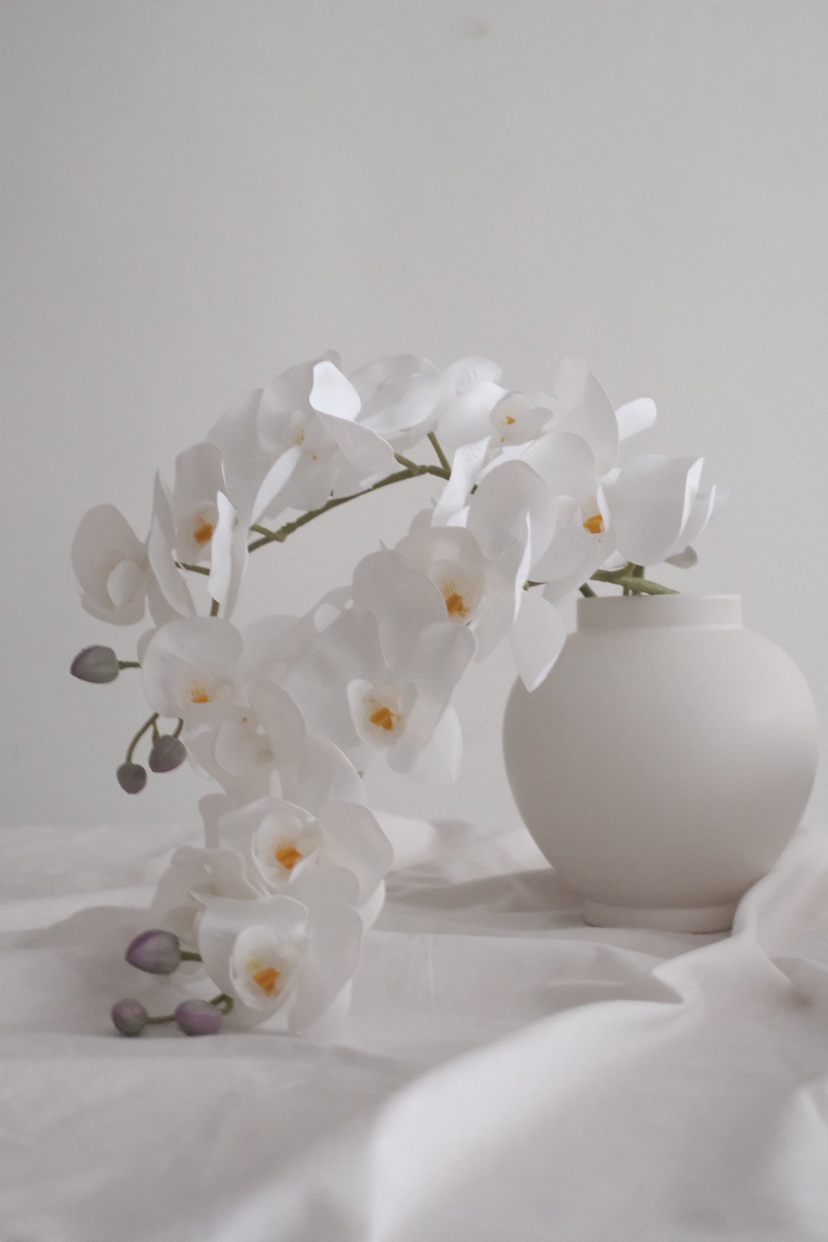 White Orchid (Artificial)