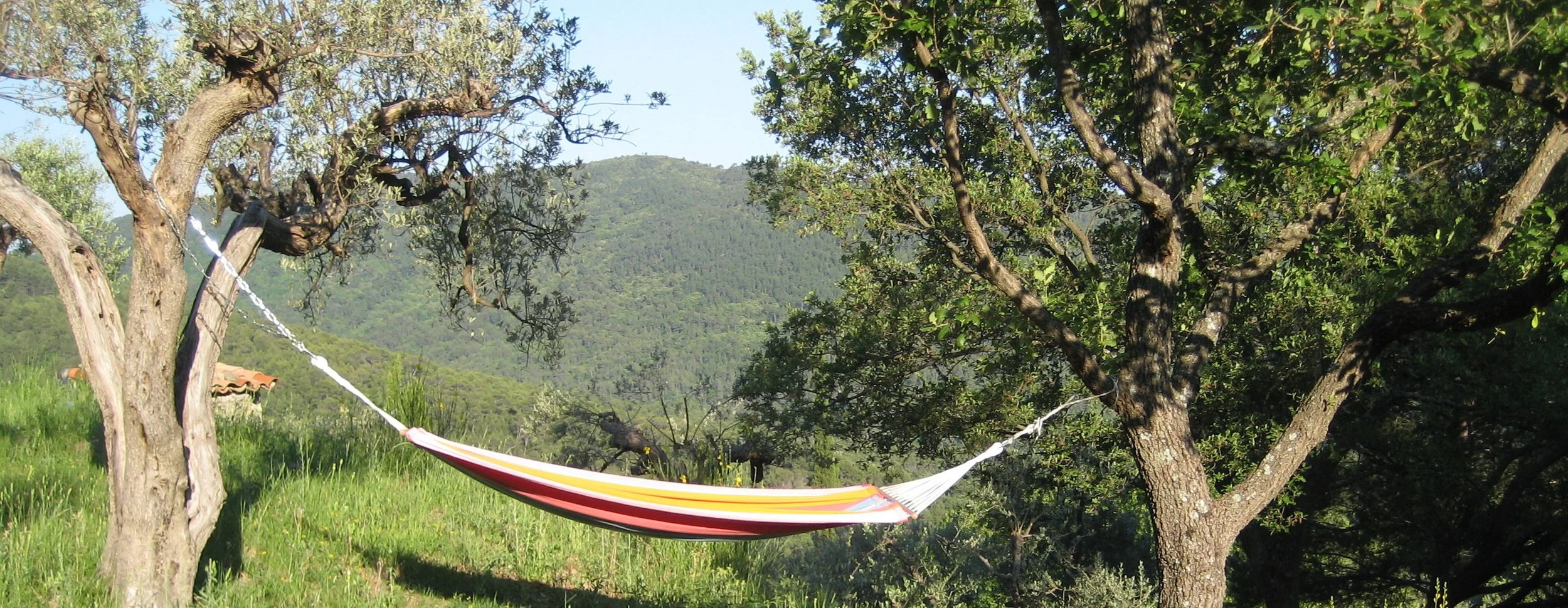 far niente.jpg (Copy)