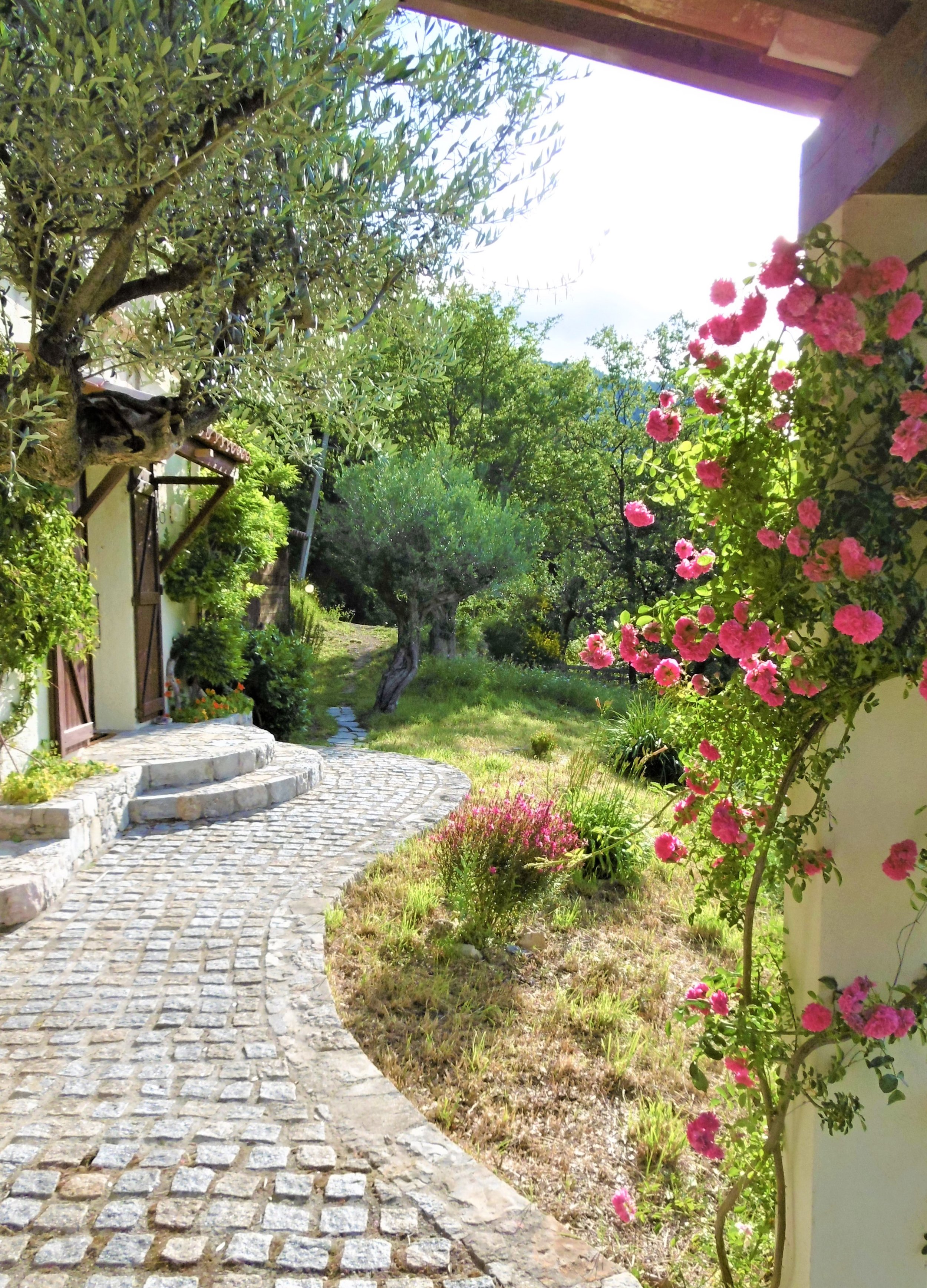 p1000424 (3).jpg (Copy)