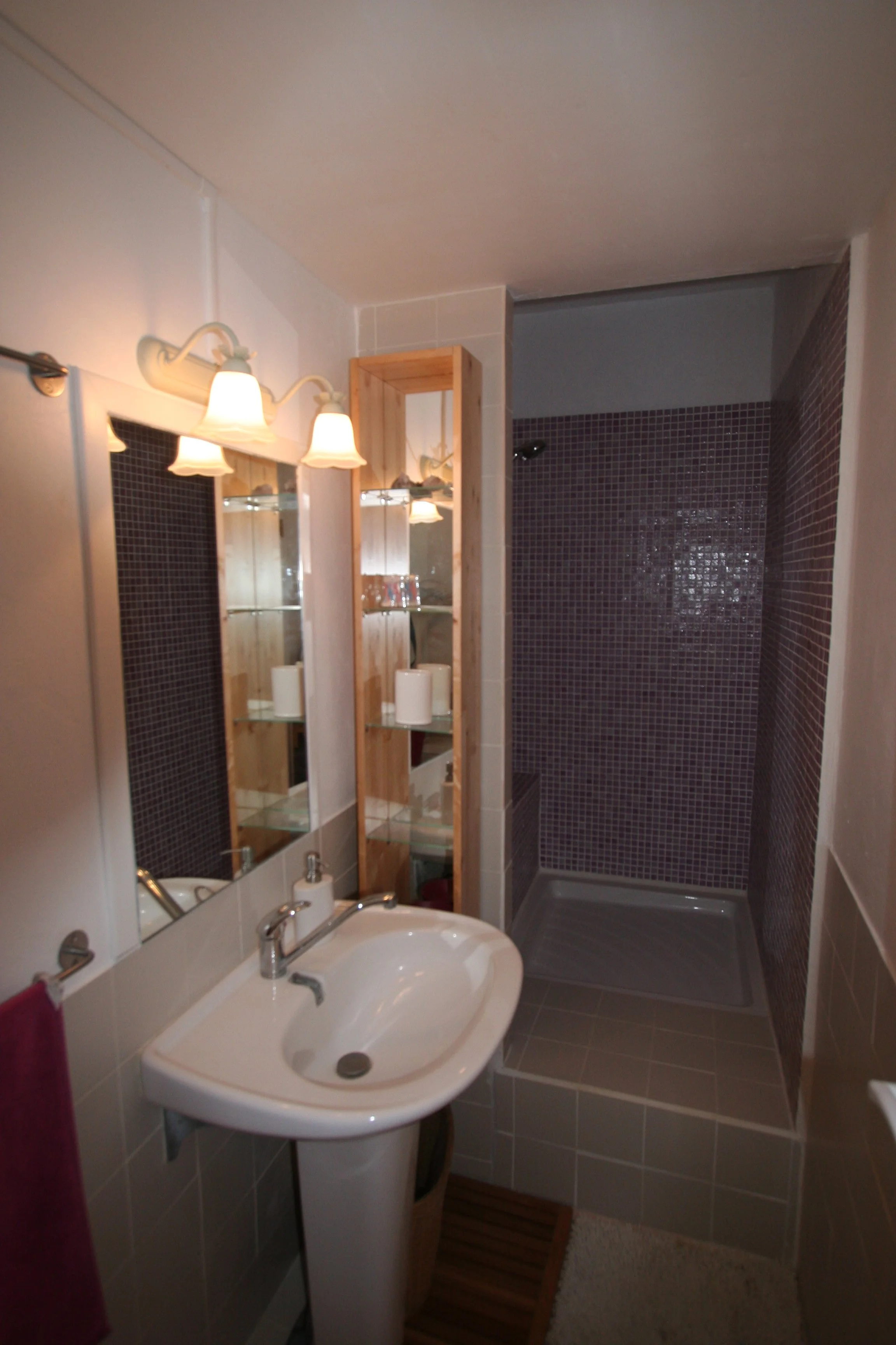 durga's bathroom.jpg (Copy)