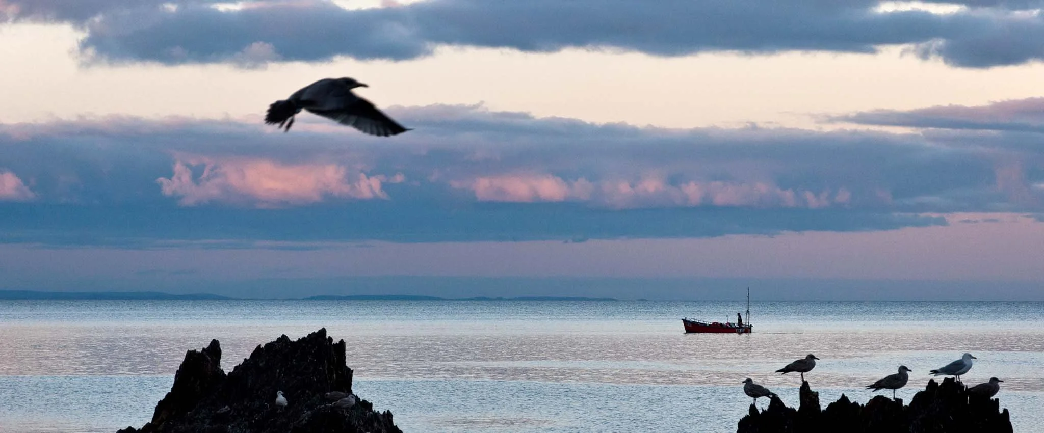 View of a small fishing boat at sea with seagulls silhouetted in the foreground