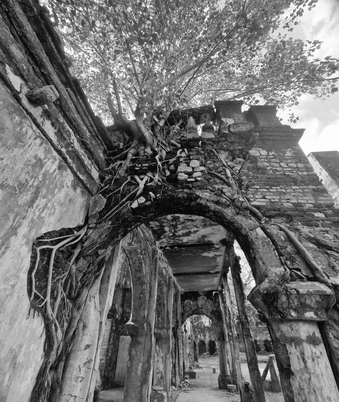 Black and White photograph of the Old District Secretariat of Jaffna damaged by war