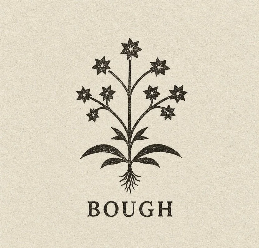 BOUGH STUDIO