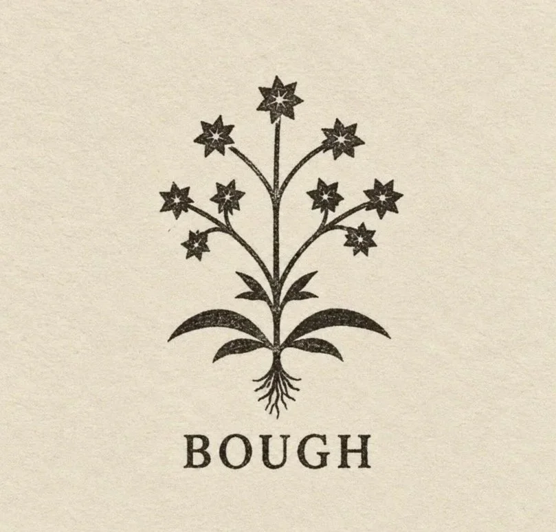BOUGH STUDIO