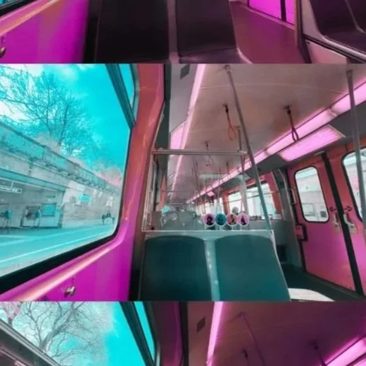 Blood, Sweat and Tears - On Periods and Politics