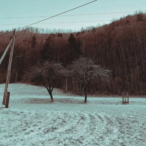 A Simplified Analysis Of Austria’s Move To The Far-Right