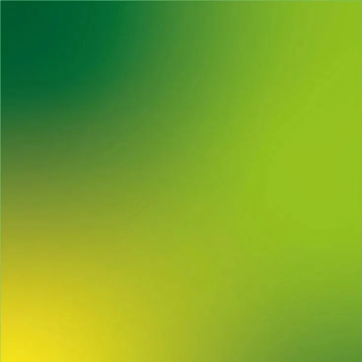 ELECTION PROGRAM OF THE ALLIANCE OF INDEPENDENT STUDENTS AIS