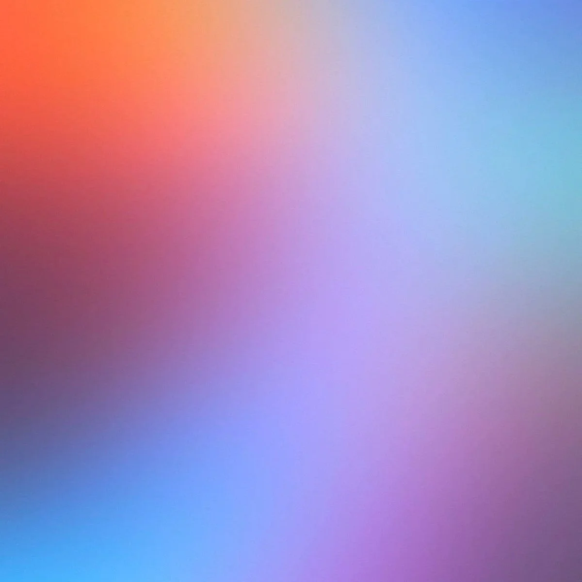 Should we care for humans more than animals?