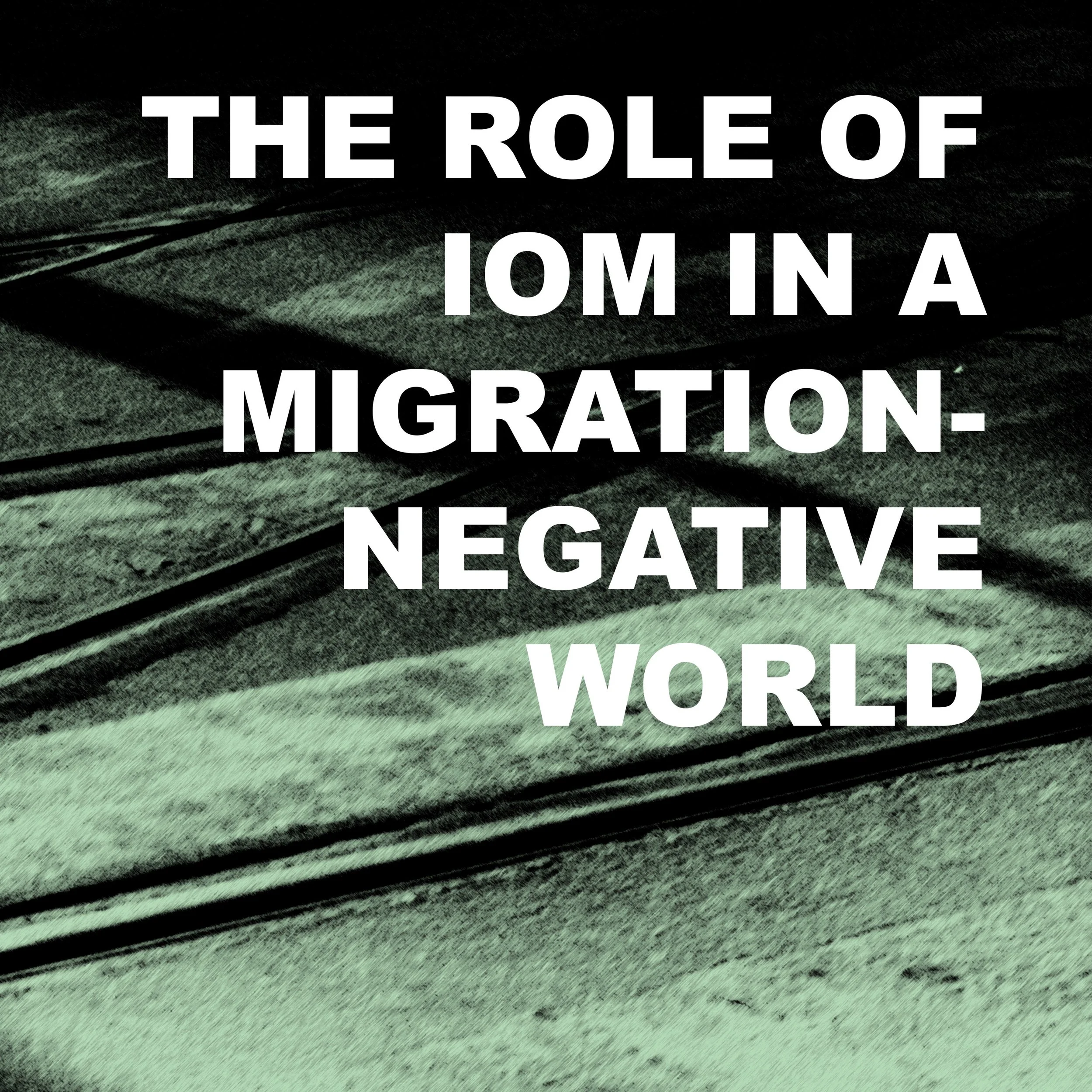 The Role of IOM in a Migration-Negative World