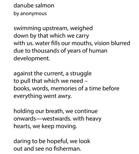 Danube Salmon by Anonymous