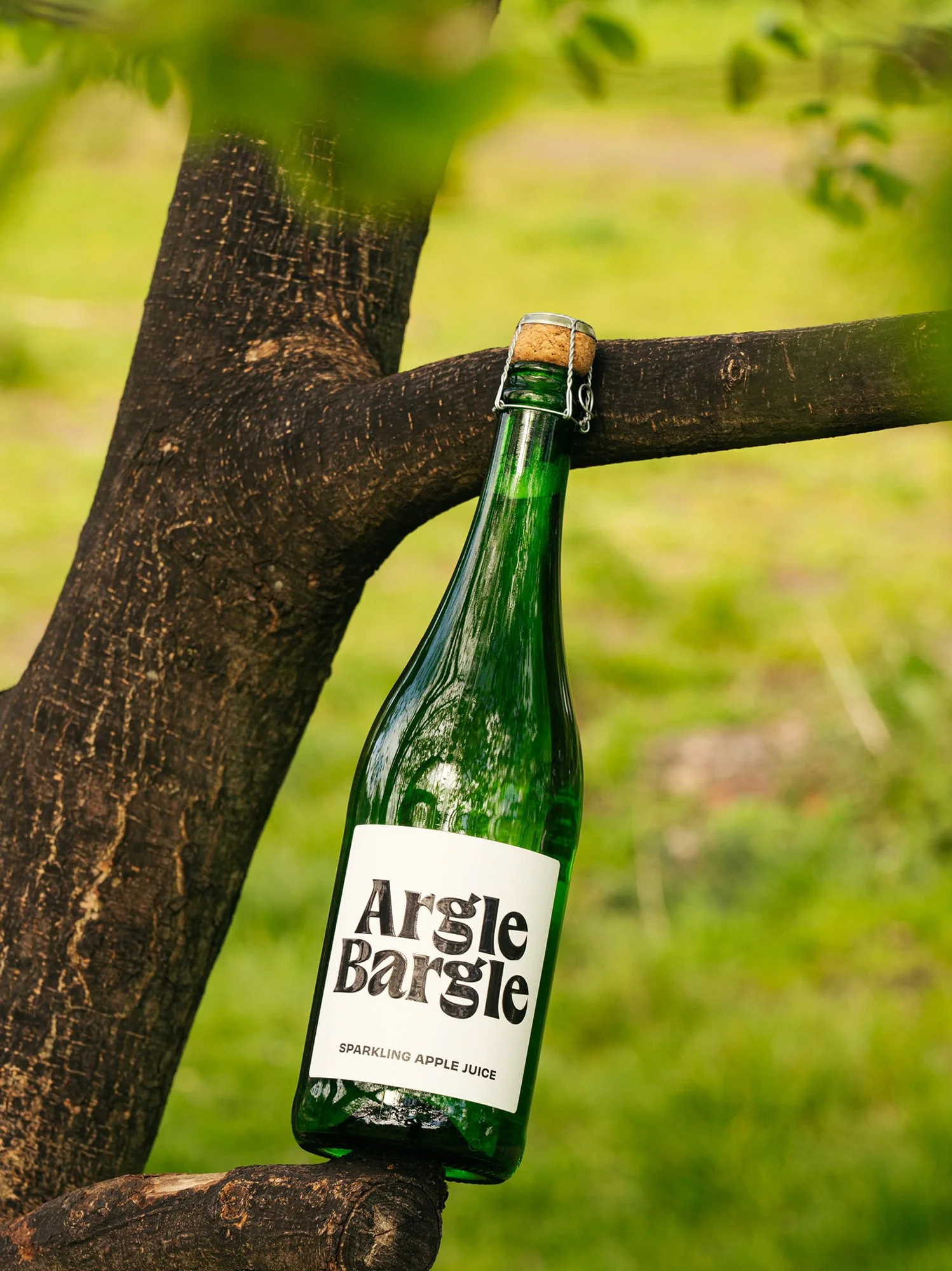 A green glass bottle of Sparkling Apple Juice hanging on a tree branch with a cork and wire cage in an outdoor setting with greenery in the background.