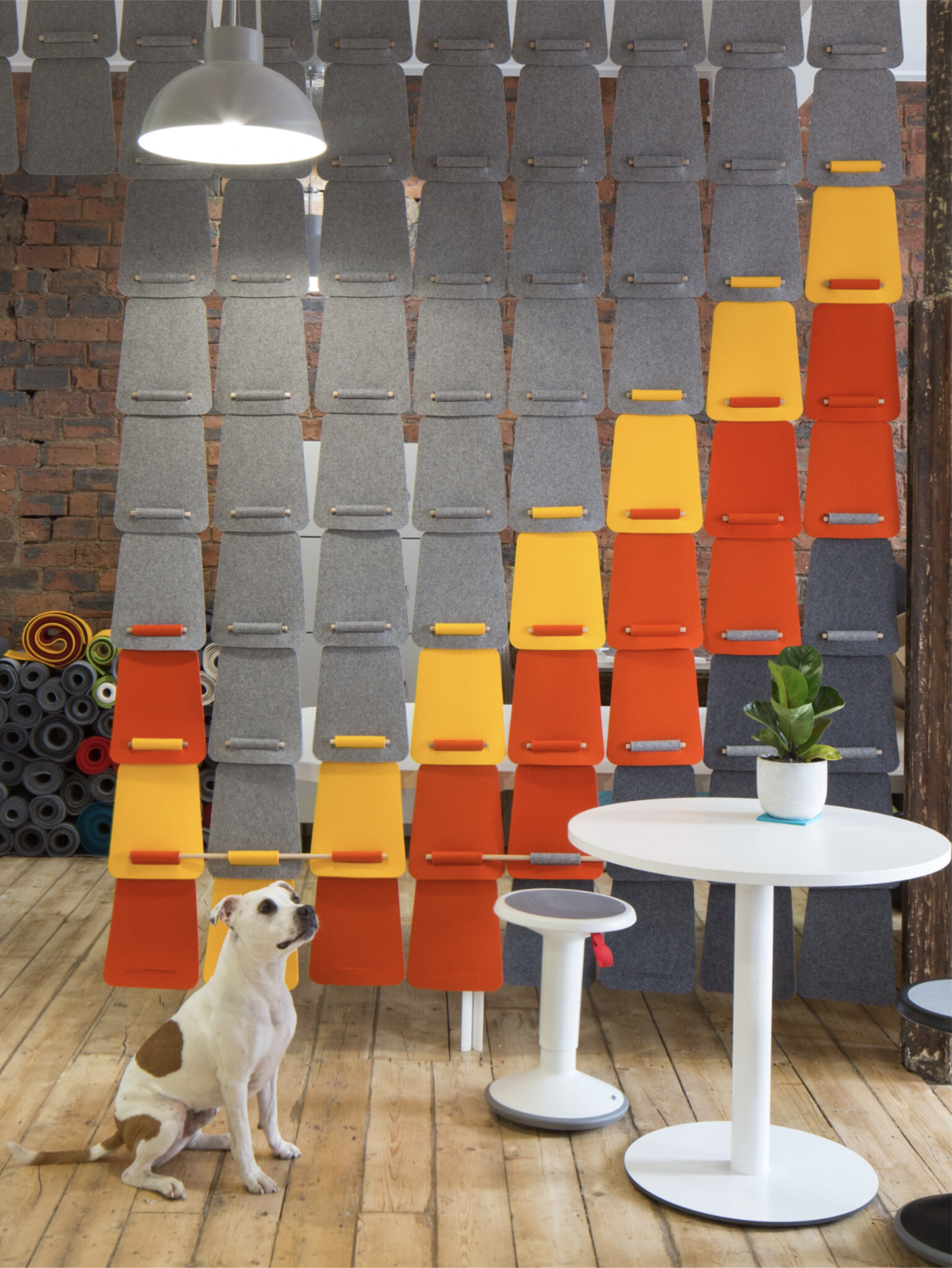 Interior space with a wall of patterned felt panels in shades of gray, yellow, and orange, stacked on a brick wall with forestry track mats to the left, a white round table with a potted plant, a swivel stool, and a dog sitting on wooden flooring.