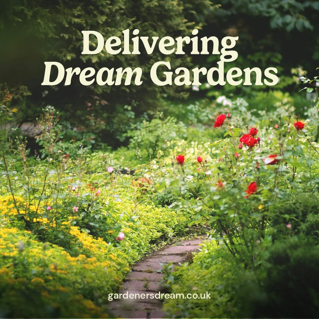 Delighted to share a recent packaging project with the brilliant team at Gardeners Dream.