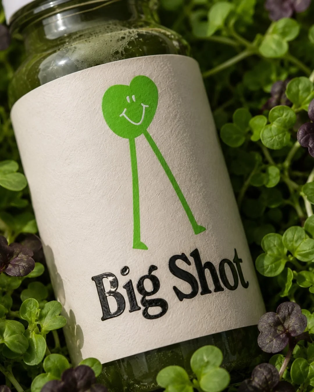 Unused concept for a microgreens brand I worked on a while back.

Microgreen shots are tiny but ridiculously nutrient-dense drinks made from young vegetable shoots harvested at their most potent stage.

This route leaned into something a bit more pla