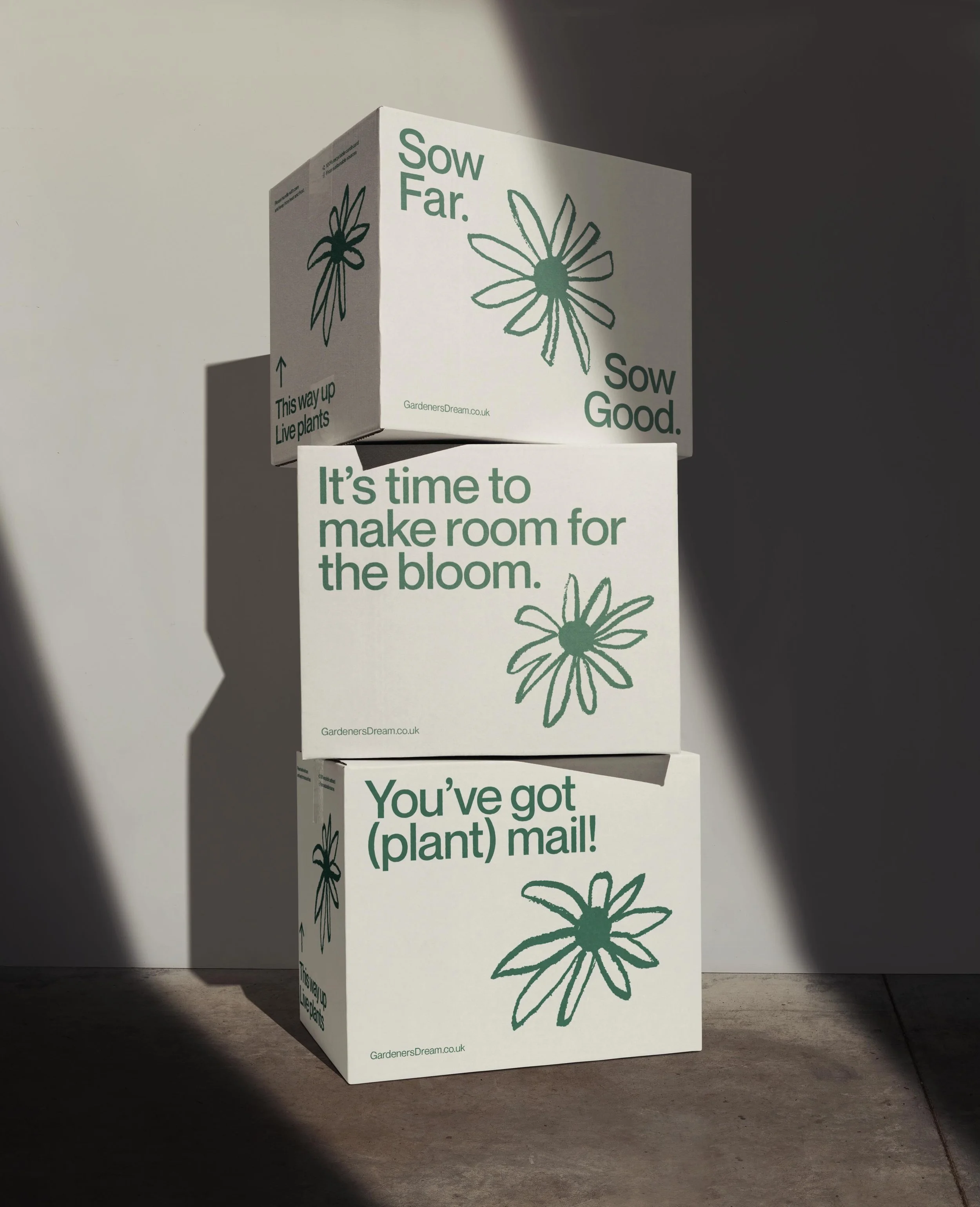 Round about this time last year I was commissioned to refresh the packaging for an online plant nursery delivering plants direct to your door.

I&rsquo;ve ended up doing a lot more writing across projects these days and although this route never made