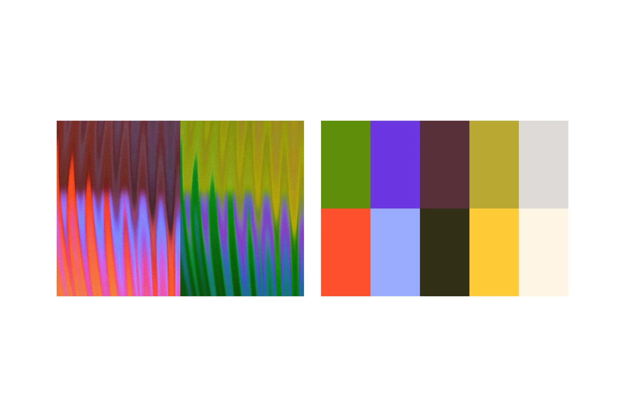 SpringWorks Branding.jpg