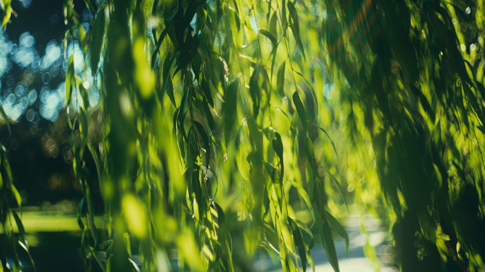 Still 2025-11-10 144537_1.1.1.png